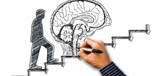 Un cerebro simbolizando cursos de habilidades blandas o también conocidas como soft skilks